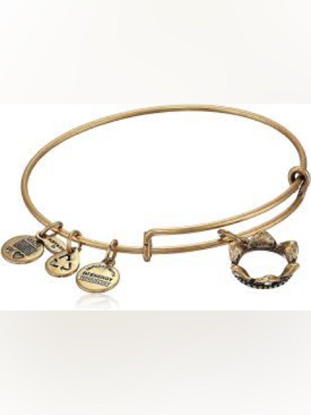 Alex and Ani Queens Crown Energy Made with Love Bangle Gold-Tone
